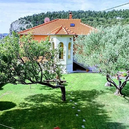 Apartman Beovic * Gata
